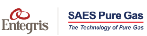 Logo SAES